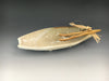 Image of Asparagus Tray W/ Wooden Tongs
